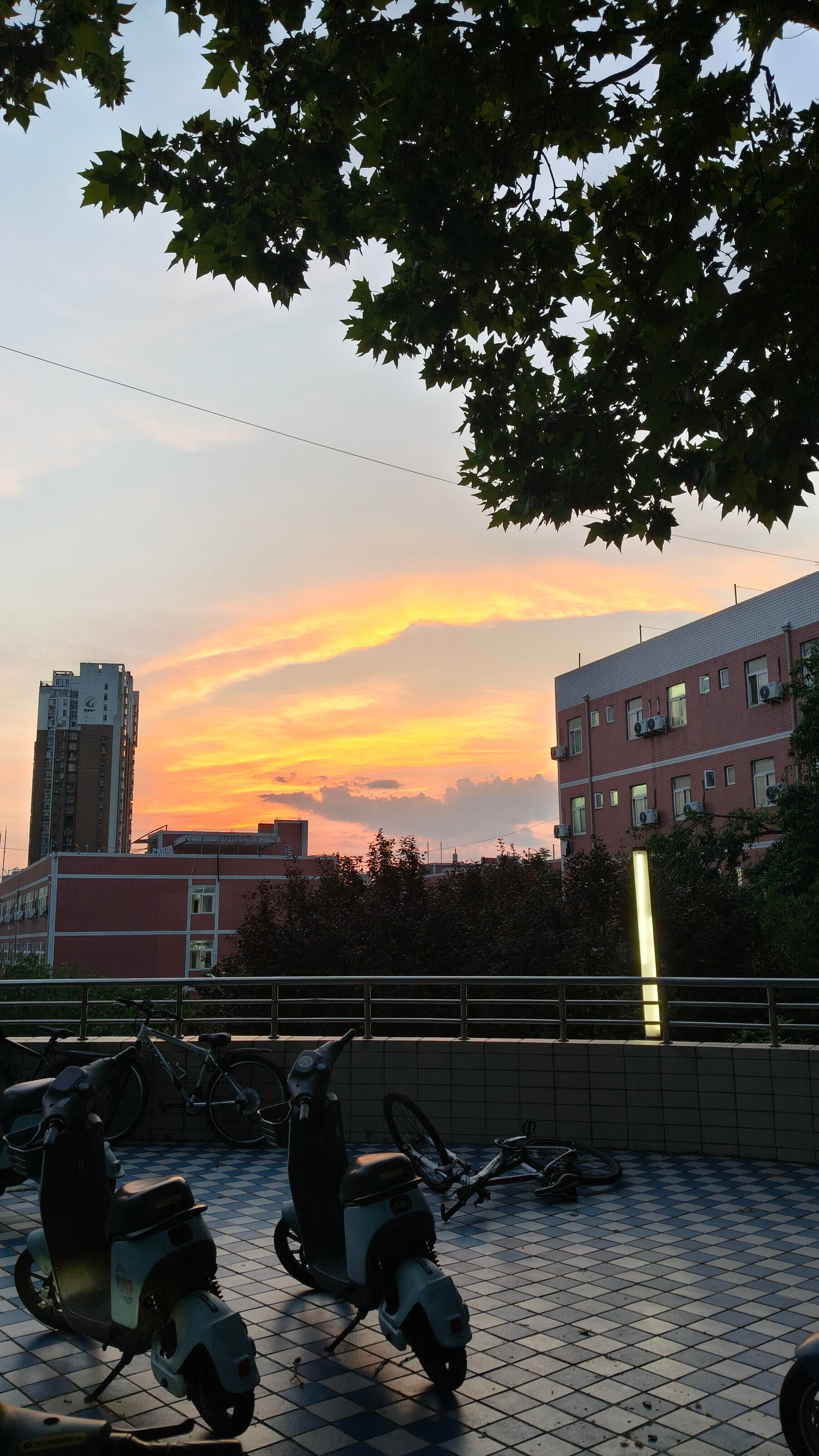 夏天就要晒镜头