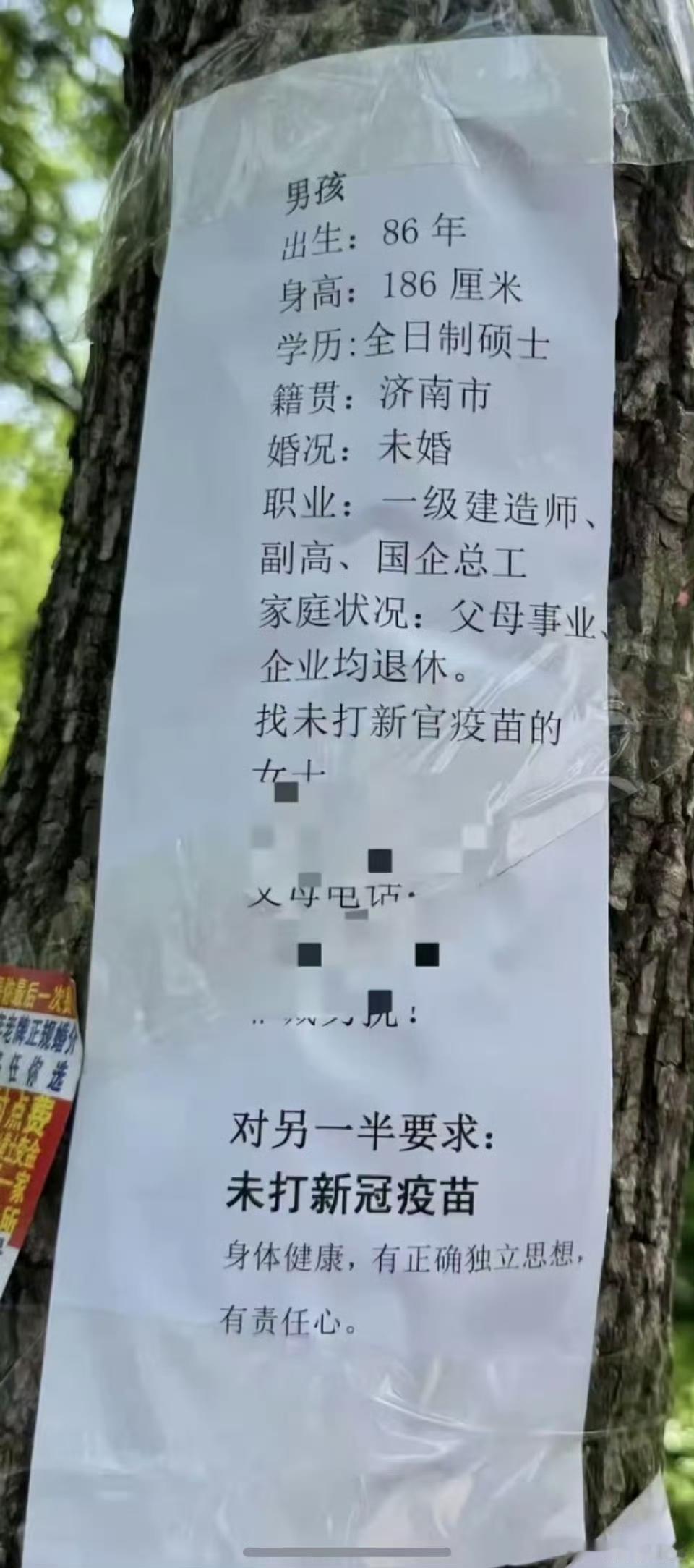 这种年轻点的基本上是属于凤毛麟角，而且大部分是孤岛型人格。​​​