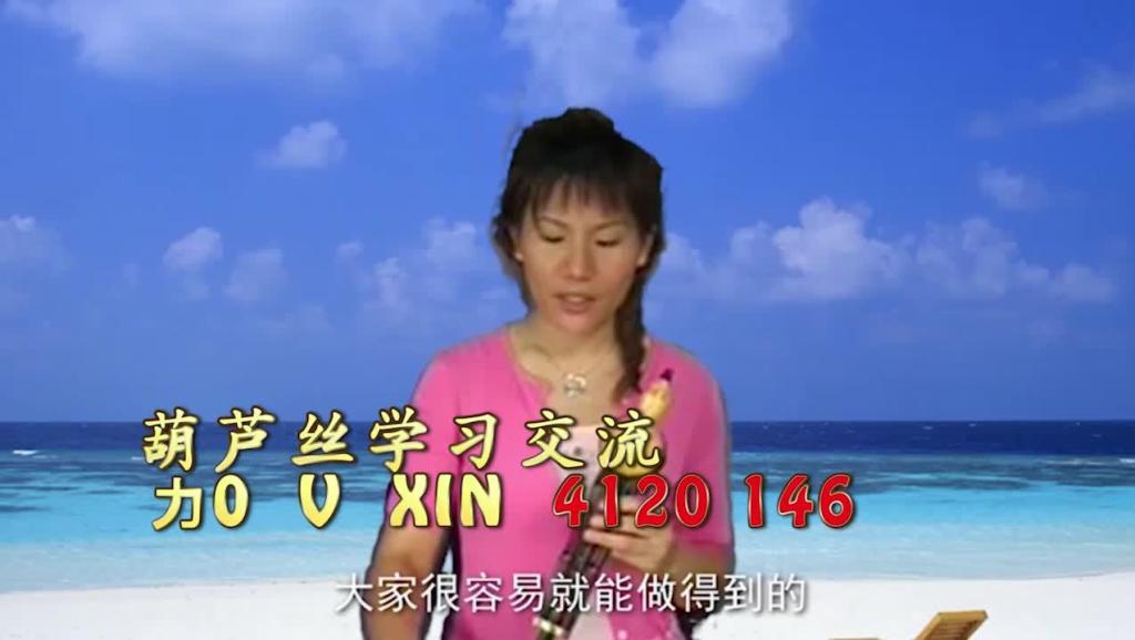 葫芦丝曲谱大全 月亮升起来 曲谱分析讲解高清