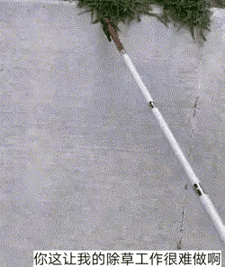 这么一画，不用除草了，美观又大方[思考]