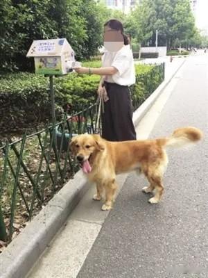 投毒被判四年，投放不拴绳的狗算不算危害公共安全？会不会判四年？养狗的都是这样