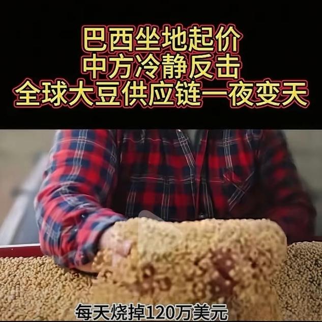 130万吨大豆,2天被阿根廷截胡!巴西以为吃定中国,结果算盘全碎……原来,巴西