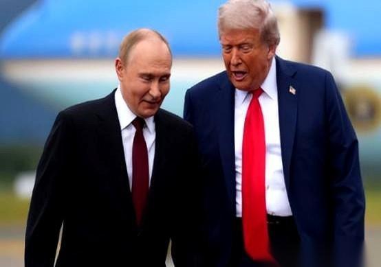 好家伙，我算是看明白了。别再信什么“24小时让俄乌停火”了，那根本不是鸽子衔来