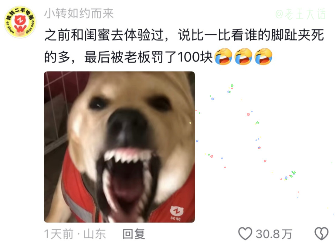 哈哈哈哈哈你们是恶魔吧哈哈哈哈