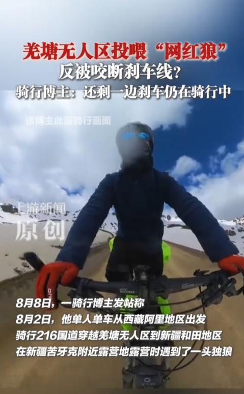 不作死就不会死！新疆，男子在无人区骑行露营时遇到一头狼，一位是网上骗吃骗喝的网红