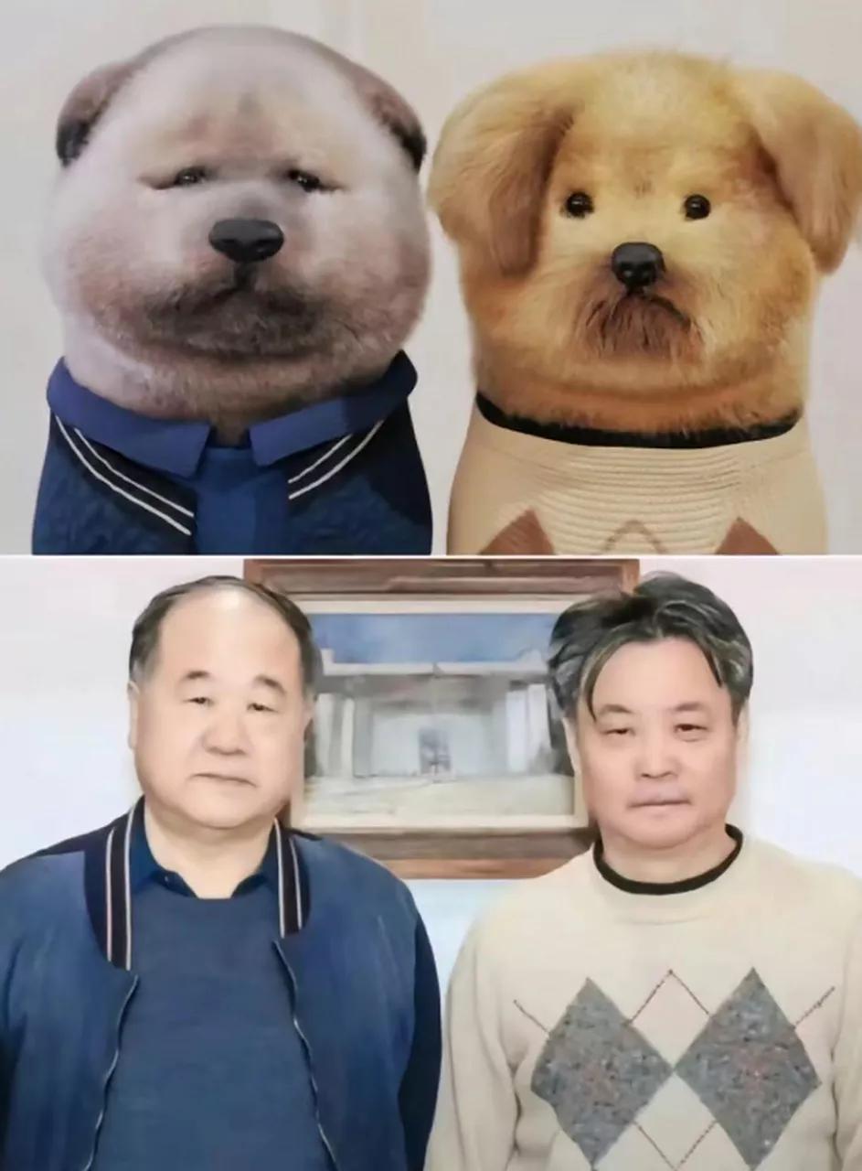 万万没想到，宠物界也有“余华和莫言”！不敢说像，简直就是一模一样！[捂脸哭][捂脸