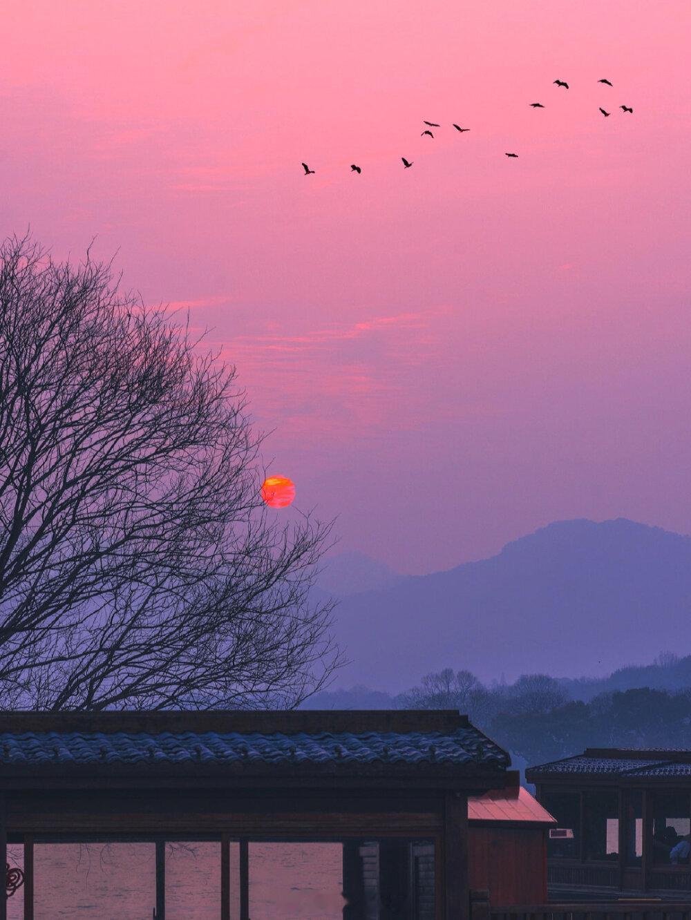 倘若她是月亮，她偏要奔向他，不远万里。——周晚欲《风月难扯》晚安言情小说推荐