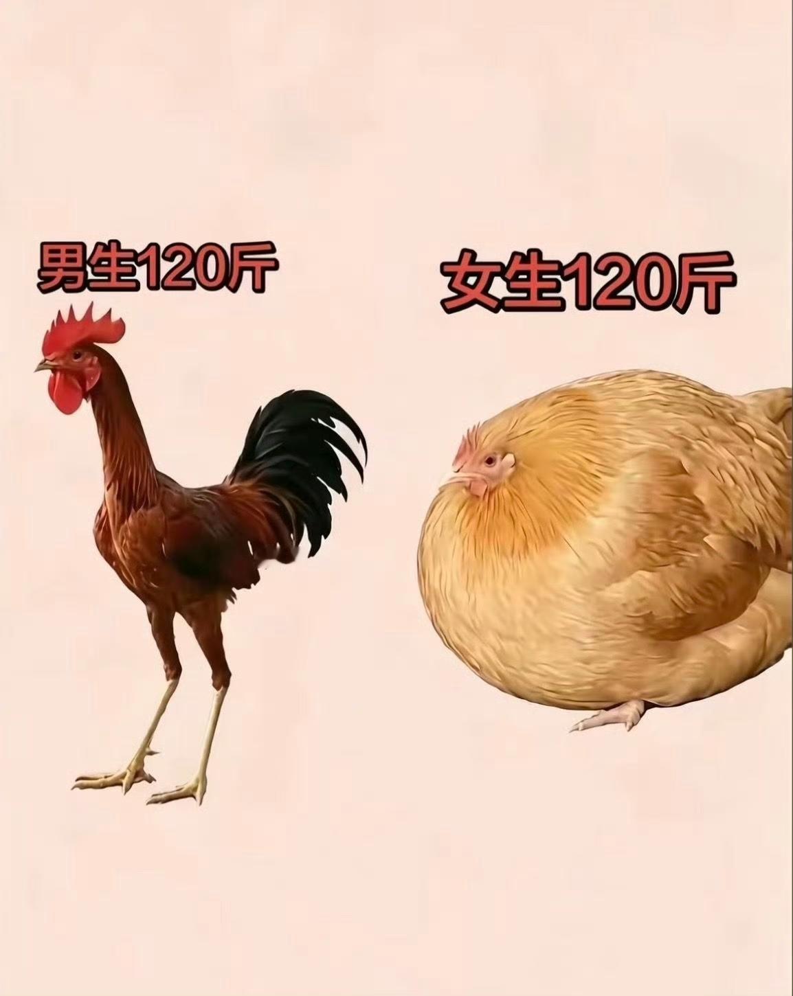 世界上最不公平的两件事…