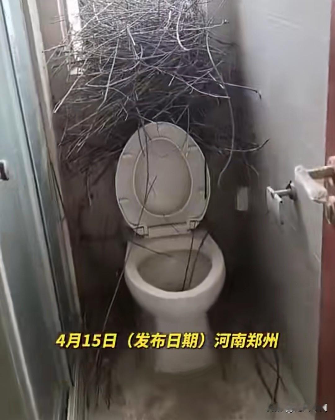 近日，河南郑州发生了一件暖心趣事。一位业主家的新房装修期间，因卫生间窗户未关闭，