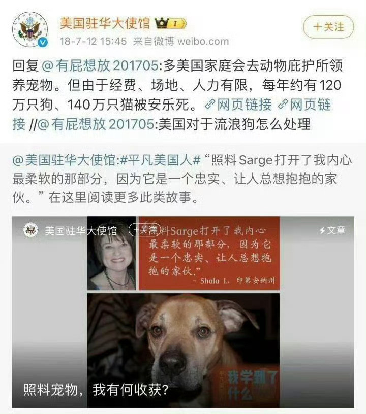 全国有近9000万只流浪犬猫艰难求生美国每年约有120万只狗、140万只猫被安乐