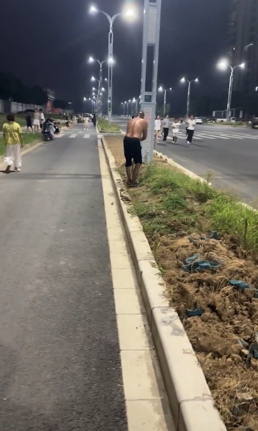 一生要种菜的中国人，公路绿化带都利用上了，其实种路边不好，我怕别人吐口水在菜上面