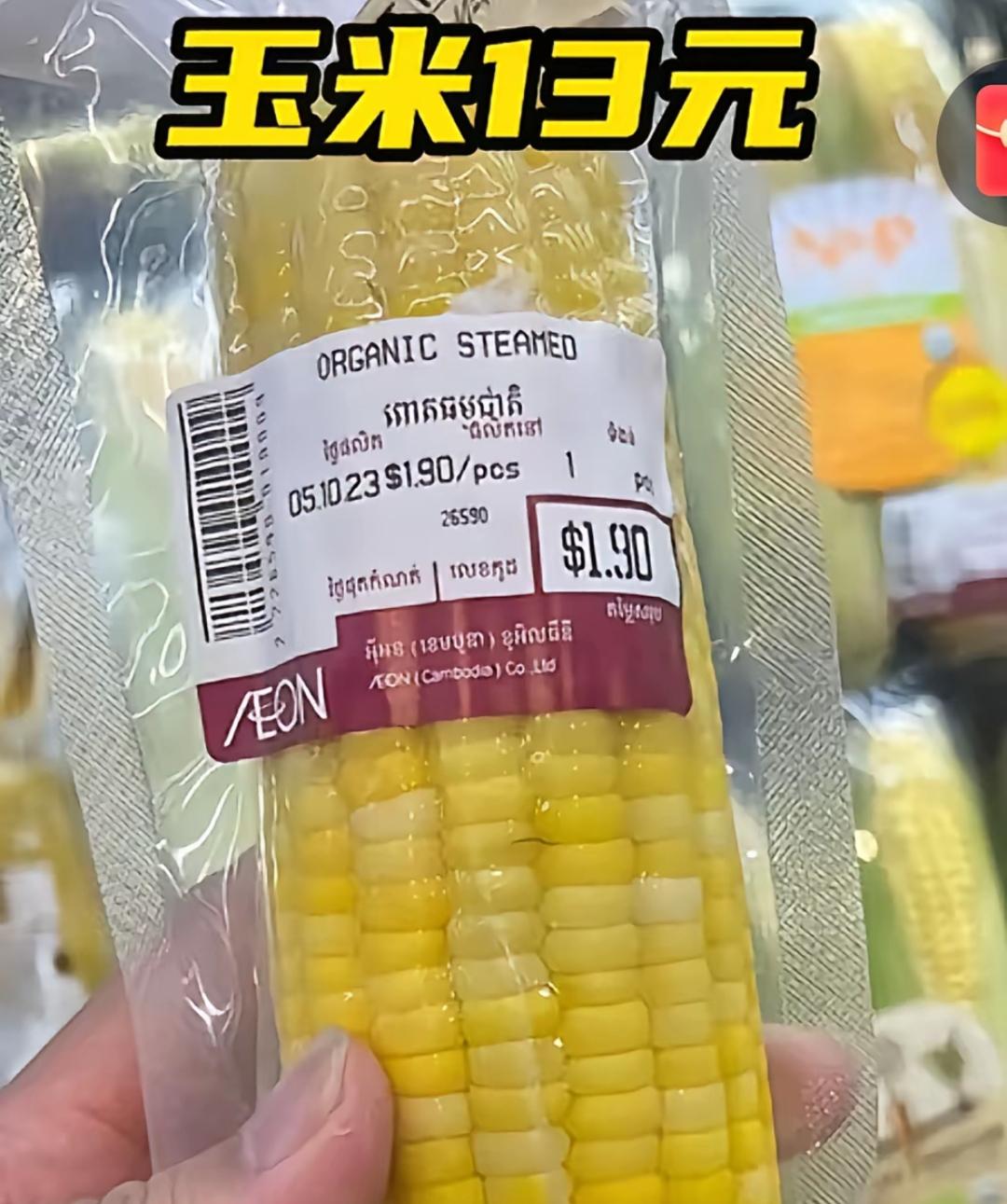 中国的物价算是全球最低的，高的是医疗，教育，房子三个占大头。中国的物价，几乎