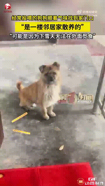 泪目了！山东枣庄一名男子住在六楼，每次下楼或者上楼的时候，只要手里有食物，都会主