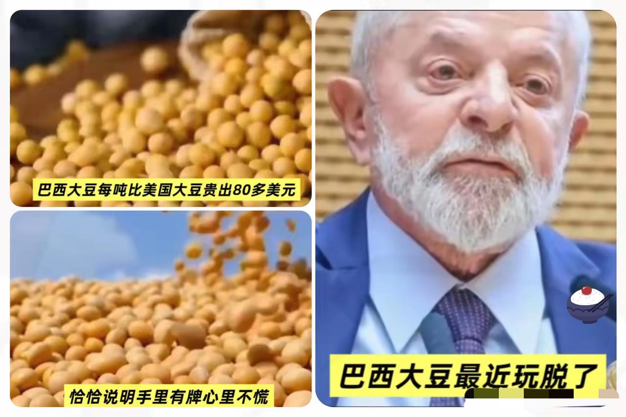 中国停买大豆后,巴西阿根廷豆价猛涨!我们为啥不能实现大豆自给…?最近全球大豆