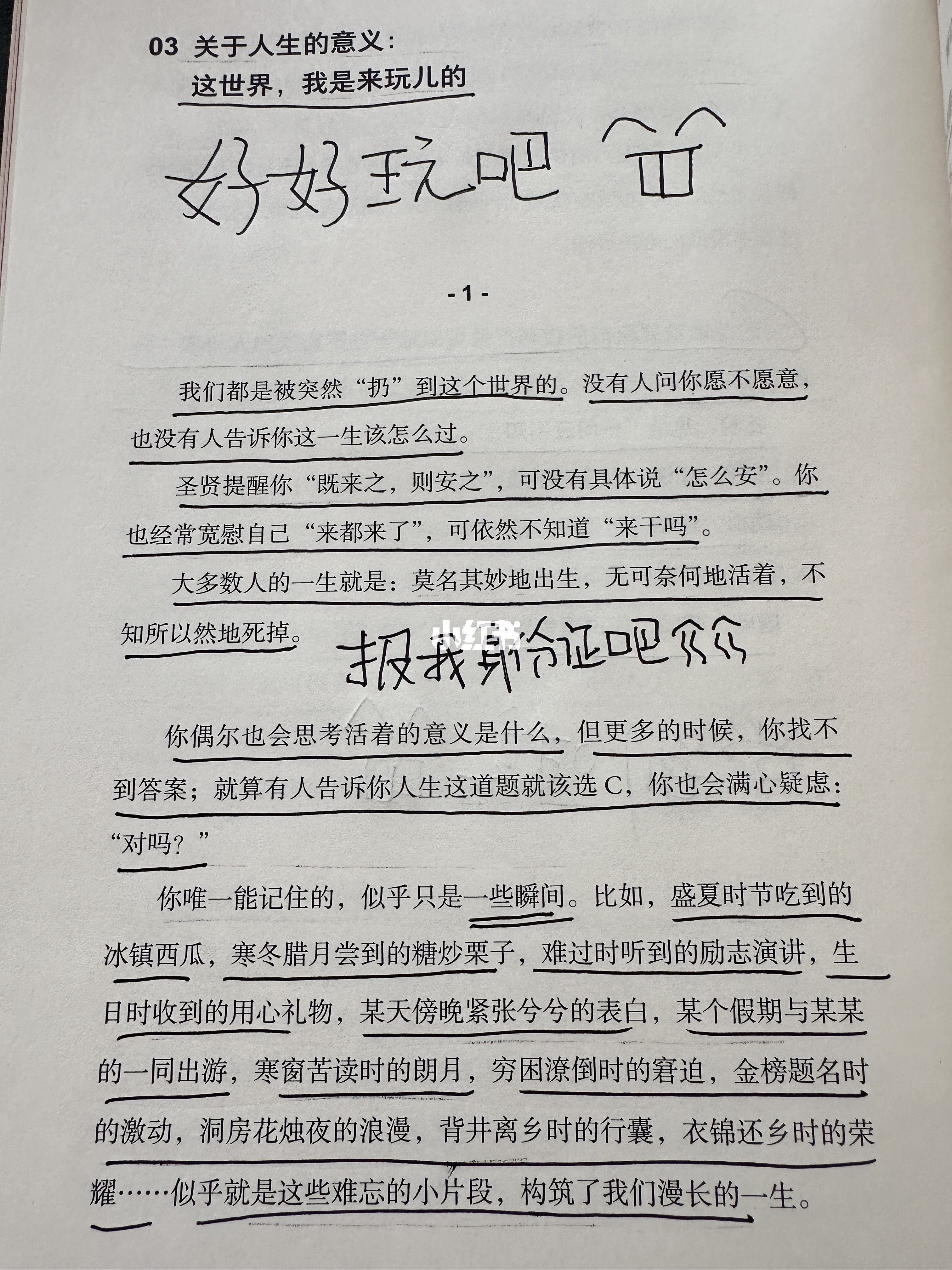 关于人生的意义，看完这篇心情大好🤸
