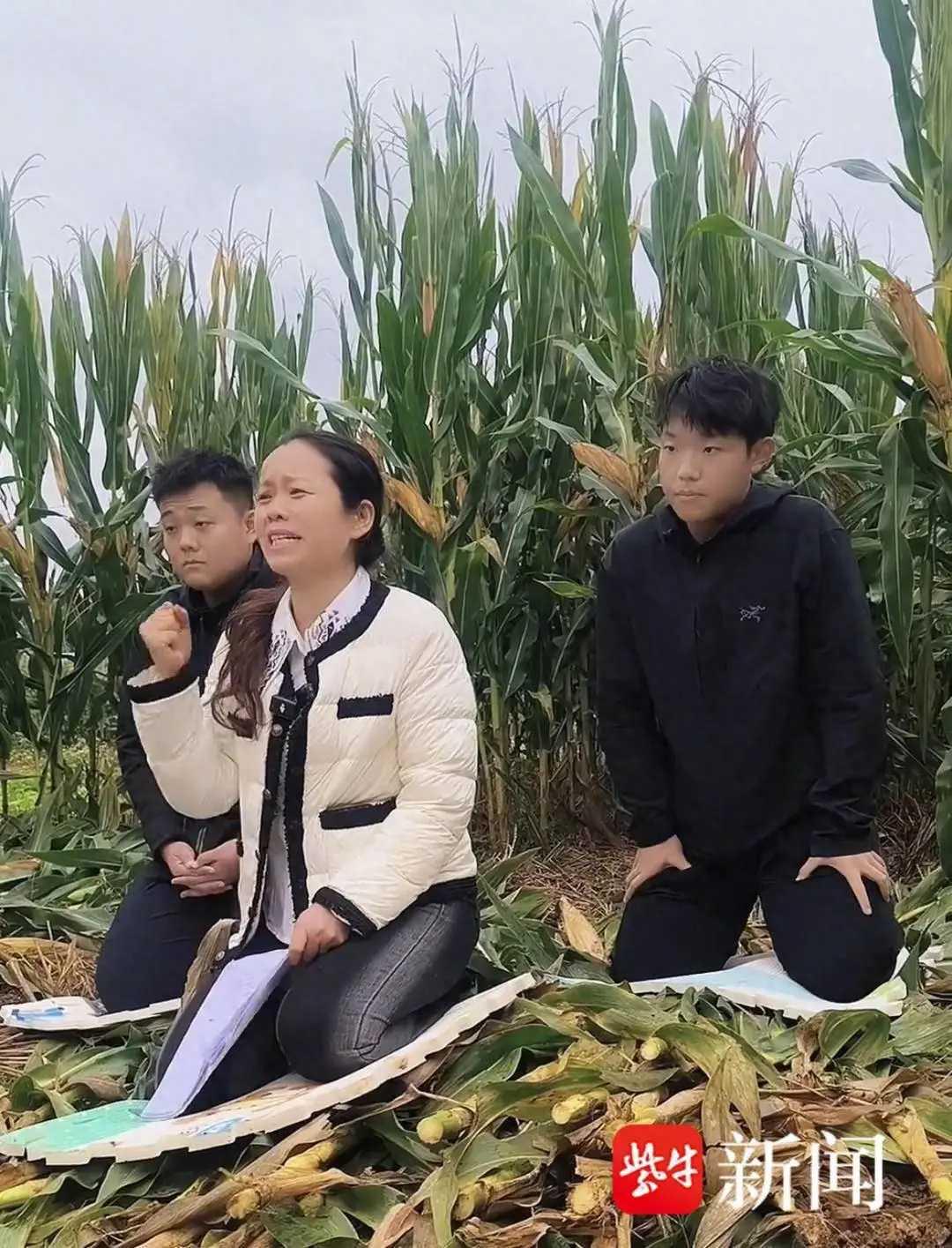 12月5日，山东泰安中级人民法院内，备受全国关注的“四人入室抢婴贩卖案”二审庭审