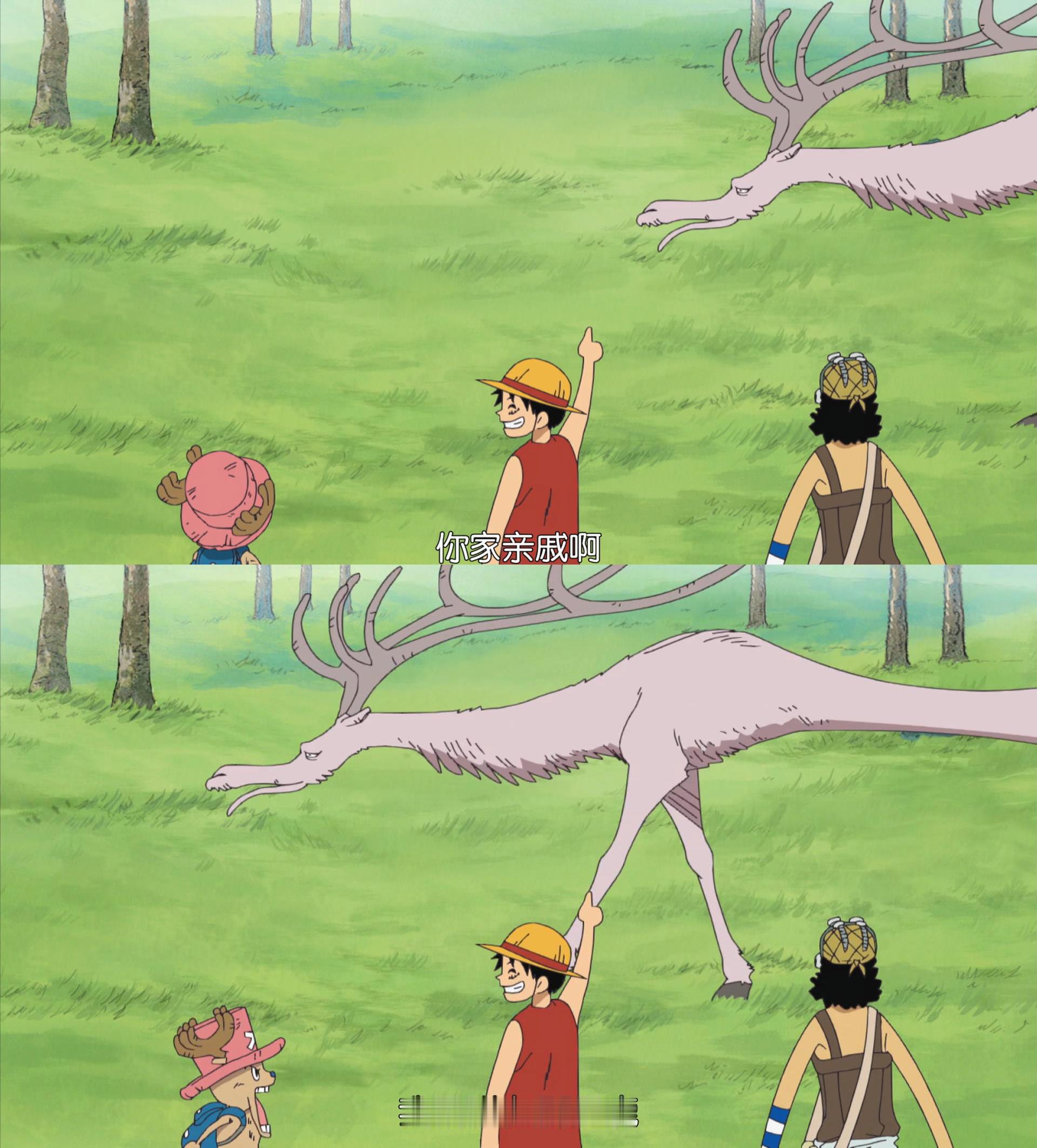 海贼王海贼王路飞真的太好笑了