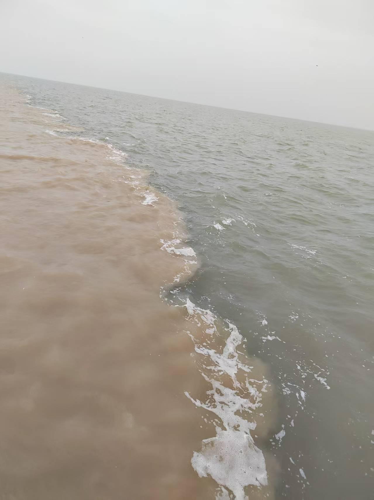 东营给你最深的印象是什么?东营市最具有代表性的景点是黄河入海口，第一张图片是黄河