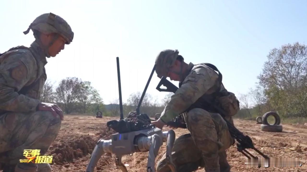 不是科幻片！陆军某旅实战演练，机器狗扛191冲锋，无人机空投弹药，网友：这操作太