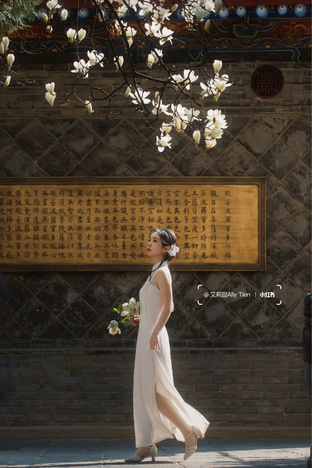 3.9实况 | 全西安都在盼的古刹玉兰，开了！