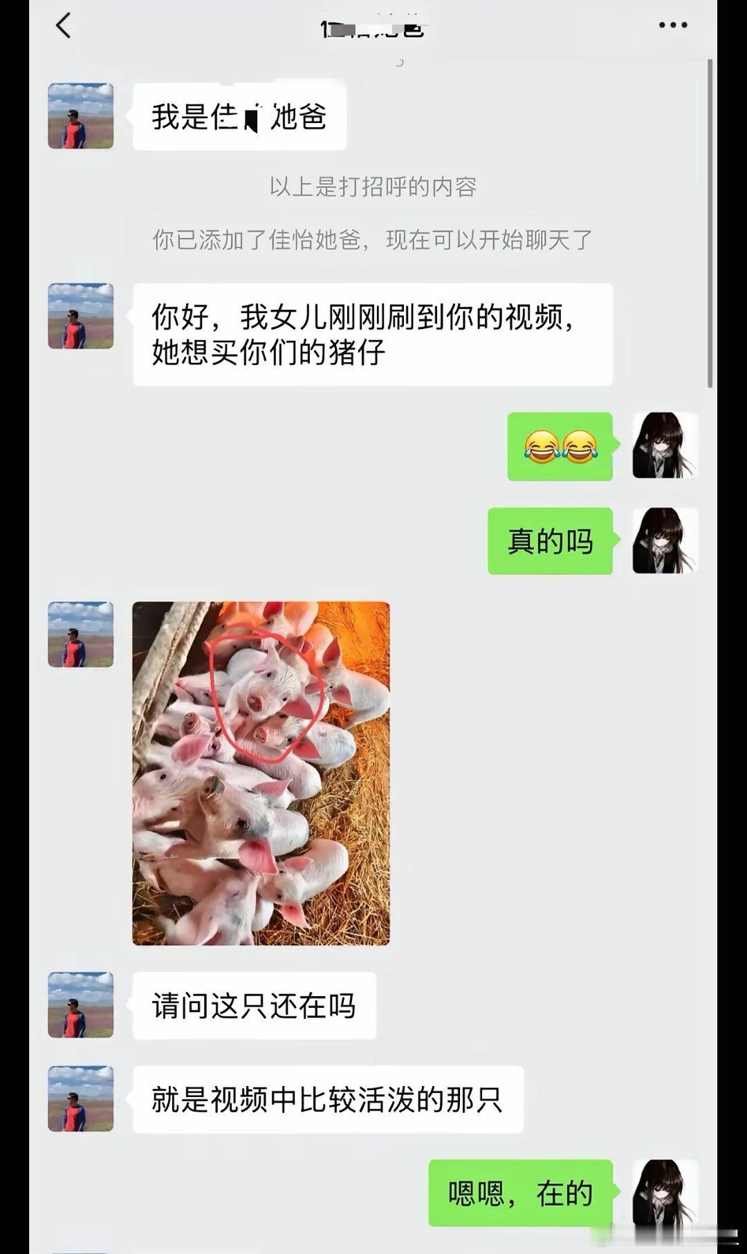 商业奇才！超过五十斤免费换小猪，好家伙，赚五千还不够吗，要一直赚！