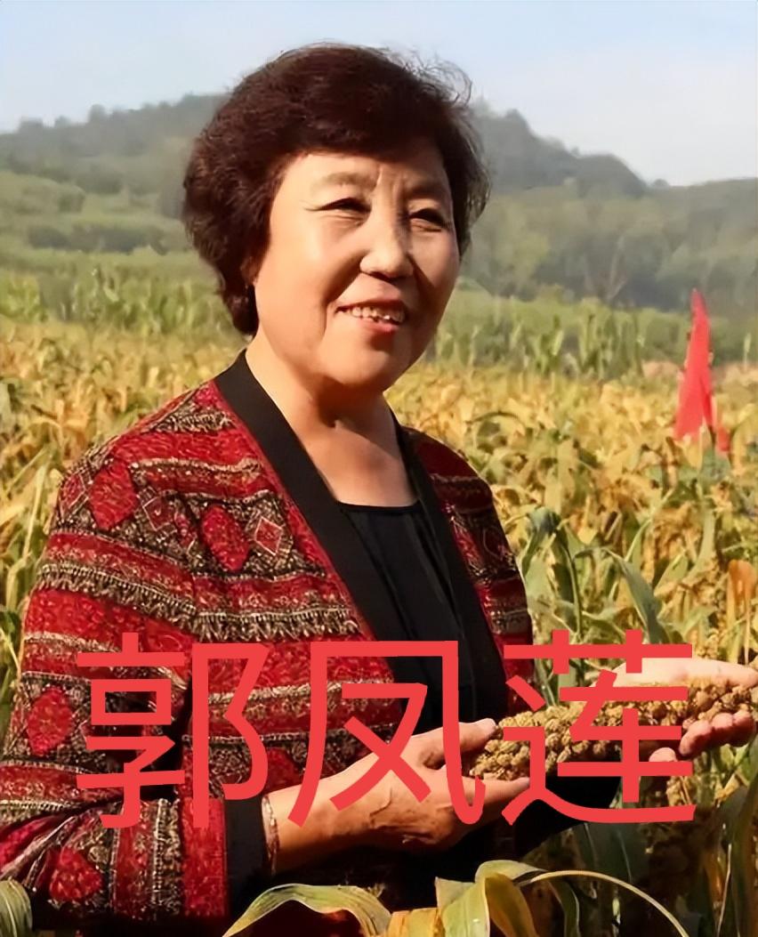 贾福元，是郭凤莲的老伴，早年参军，是英雄八连的原副连长，1966年与郭凤莲结婚。