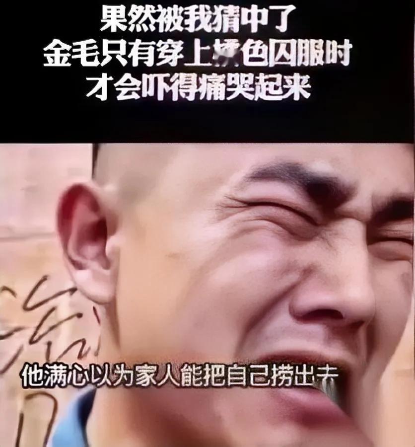 金毛二审后彻底崩了！知道自己活不过除夕在里面几天不睡不食，疯喊儿子又骂白