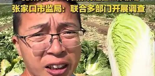 别再自我安慰“甲醛白菜是谣言”了。就在2026年8月22日，官方通报把底牌亮得清