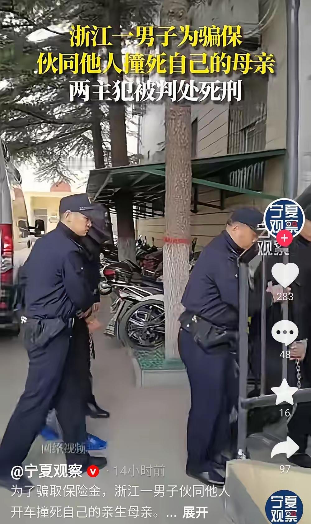 当‘父亲’点头，任由树枝刺向自己眼球时，这个家最后的理智，就已经瞎了为了几
