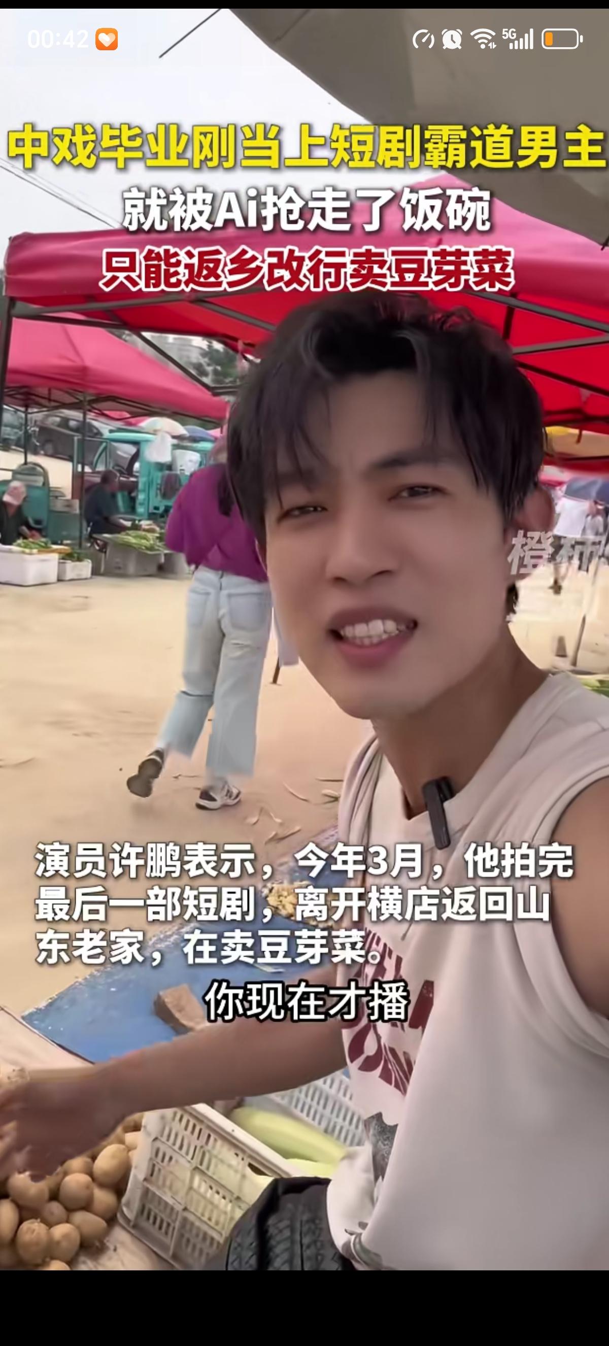 中戏毕业的许鹏刚混上霸道总裁男主，就被AI演员抢走了饭碗，拍完最后一部剧就回家卖