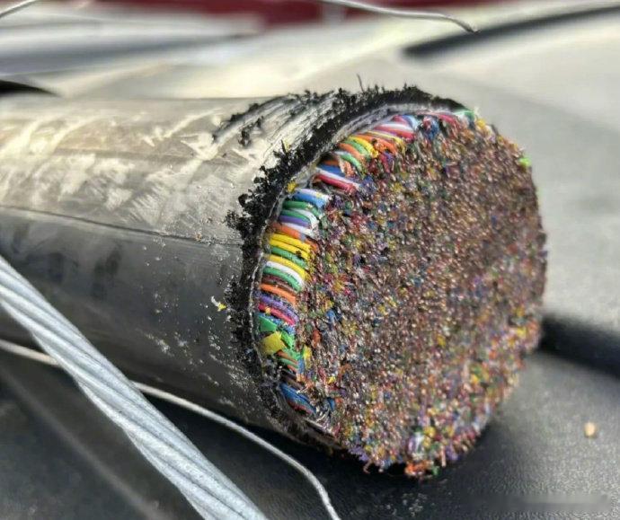 终于知道脊髓损伤为什么不可逆了