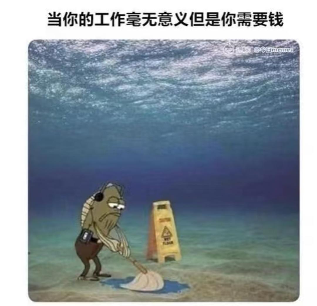 又是上班的一天🤪