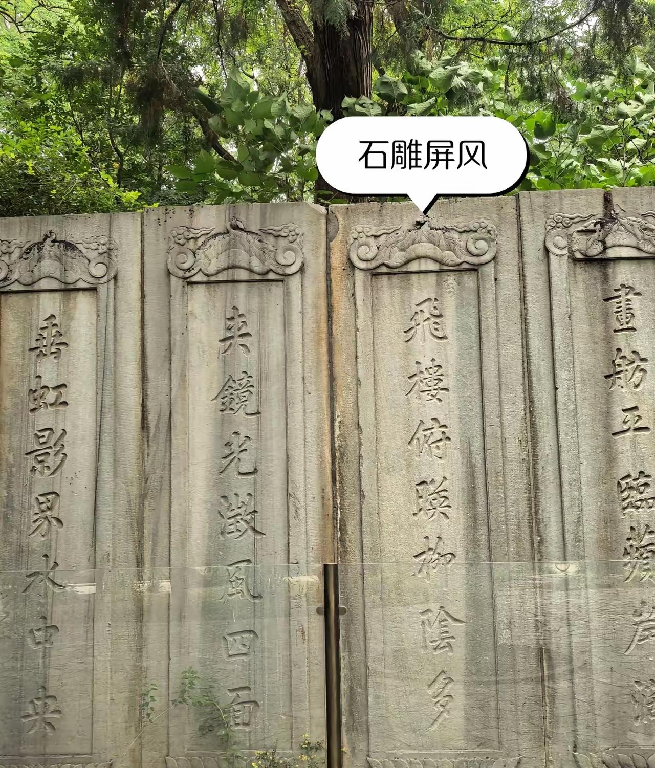 北大教授赵宏的言论引发了不小的争议，网友们纷纷表示，名校的光环怕是要被磨得所剩无