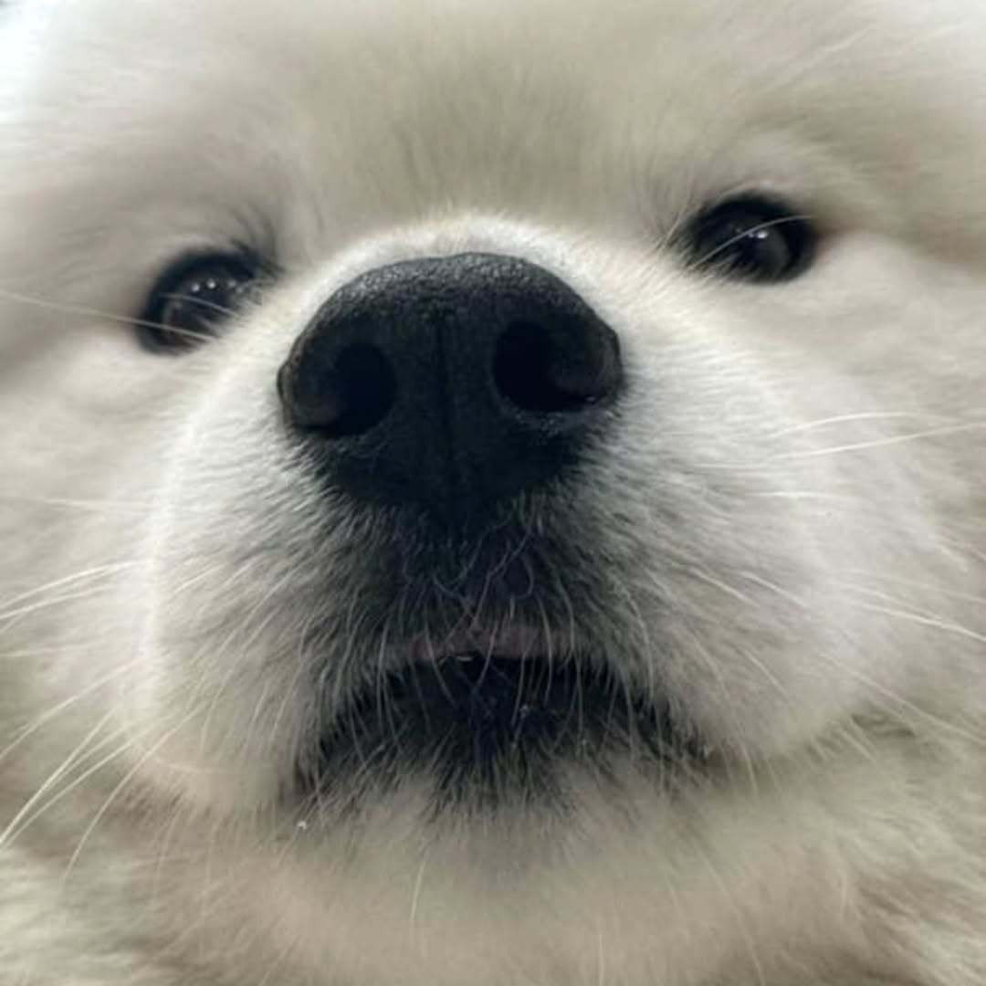 我很严肃的跟你说奥！你不要嬉皮笑脸动手动脚的！