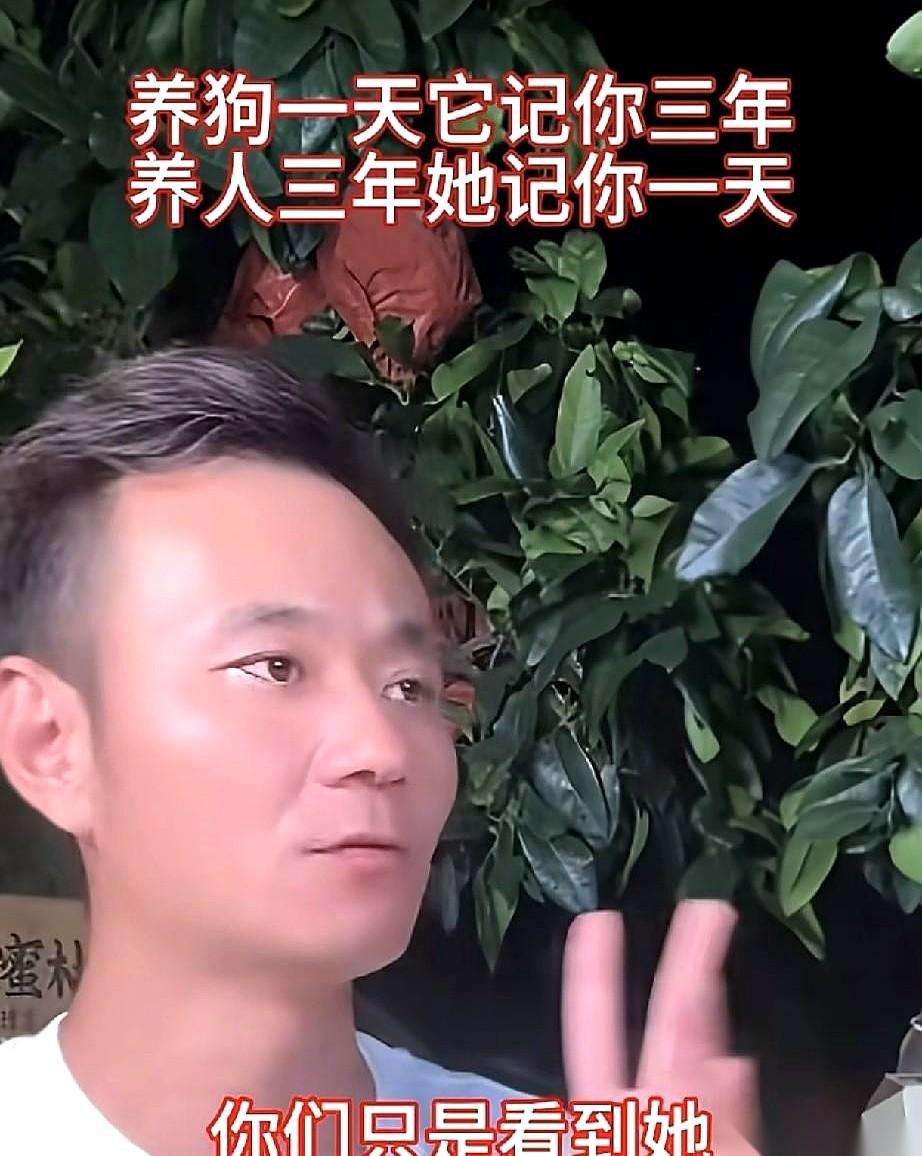 看完了厉怀远针对林丽的一场场公开回应，事情再清晰不过：这位以往总是闷不作声的男人