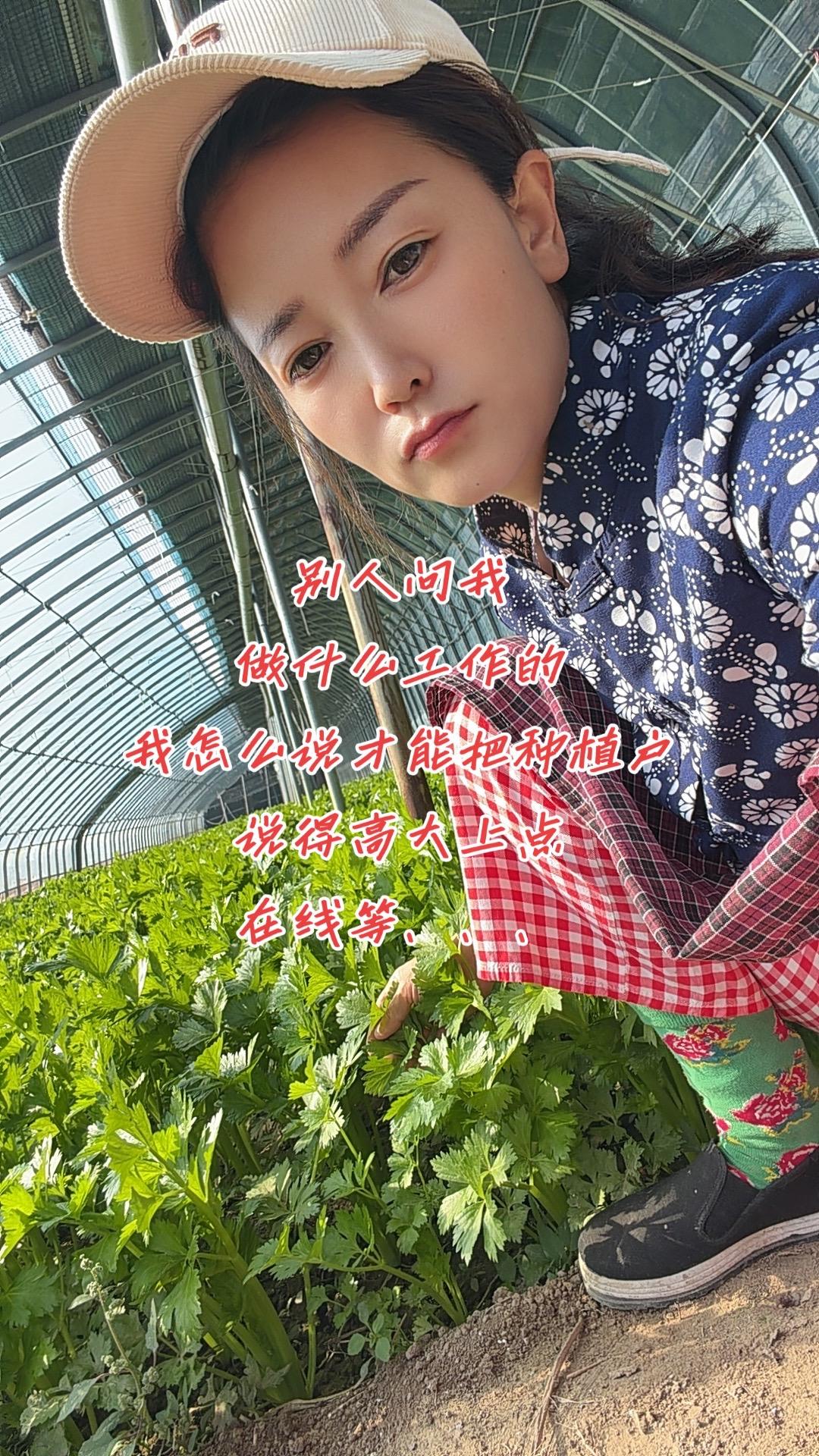 怎么说才能把种棚的说的高大上让别人高看一眼🤣🤣🤣