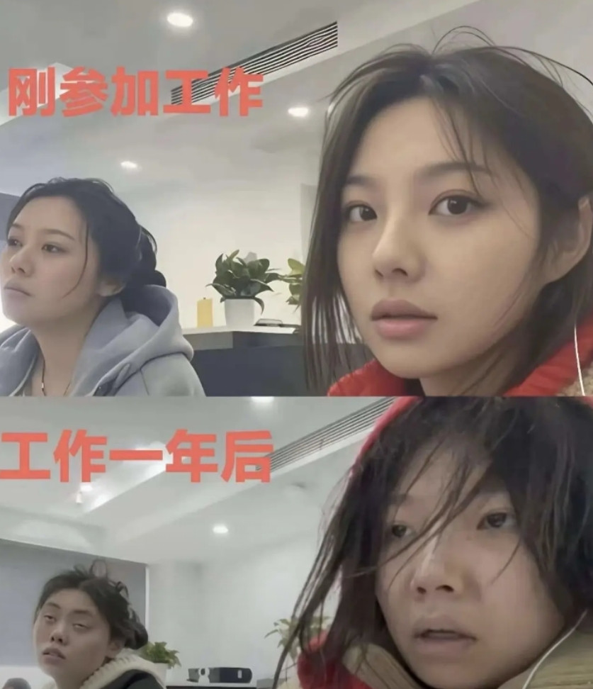 十年青春无人问，一朝牛马天下知