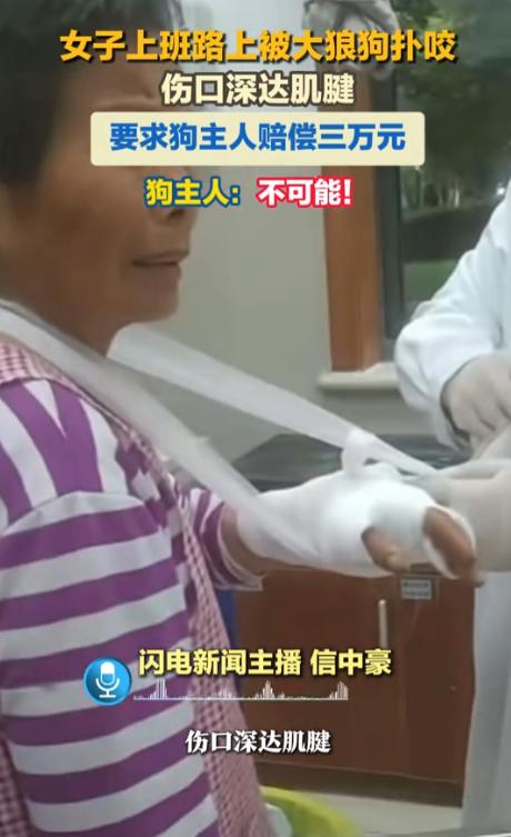 “哪有这样的道理！”浙江，一女子骑车上班途中，被一条狼狗咬伤摔下车。她索赔三万元