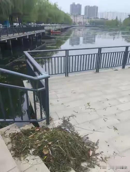 凌晨，郑州一女子跳帝湖身亡，也就是之前的金海水库！这悲剧的背后，又藏着怎样的人间