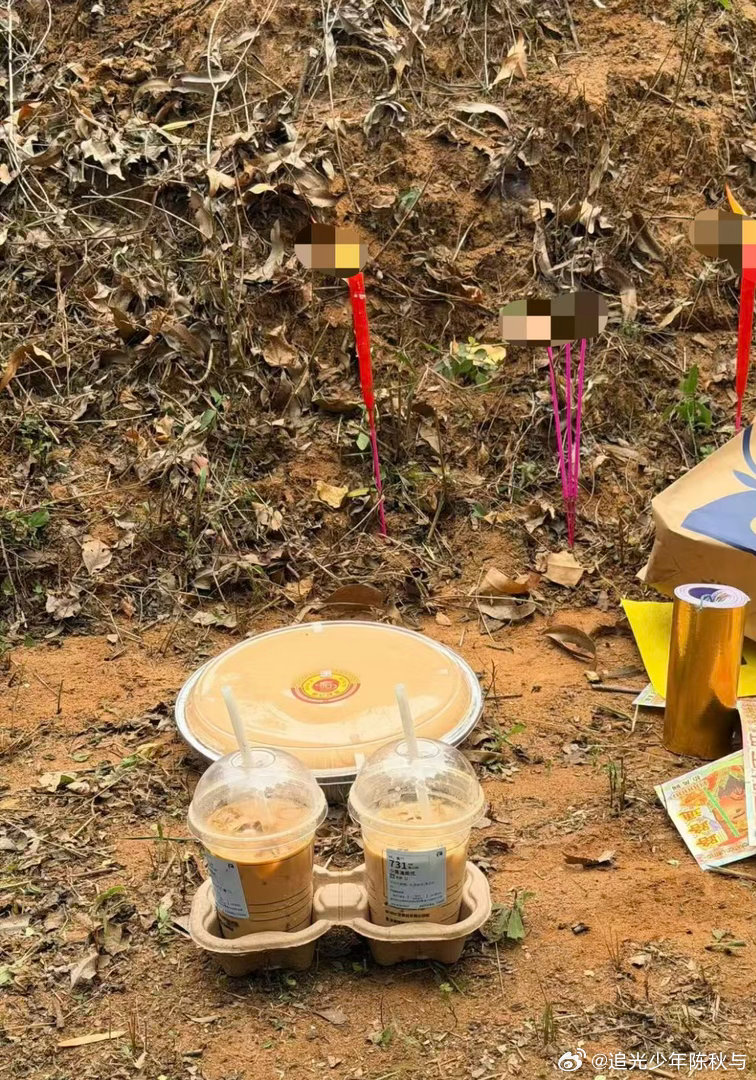 当代年轻人有自己的祭祖方式不一定昂贵，但一定美味校园v计划开学季你好春天