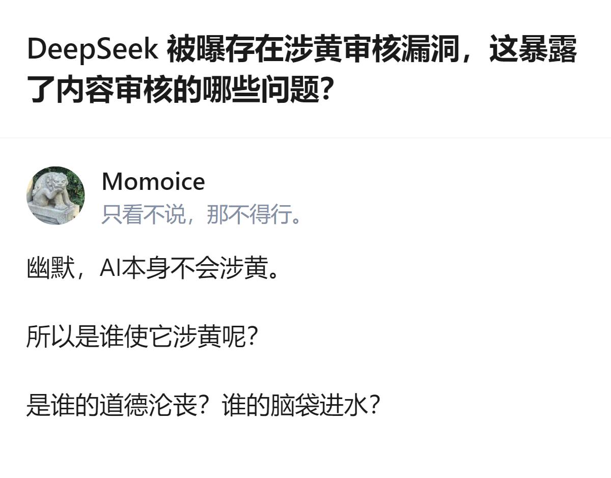 从现有信息看，DeepSeek被曝存在涉黄审核漏洞，还能1块钱买到绕过审核的教程