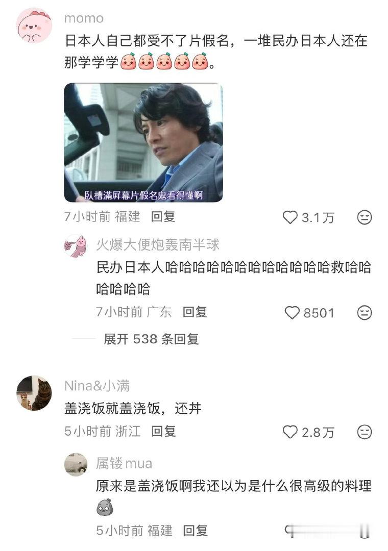 实在有点难以理解，不知道是谁兴起的在中文里穿插片假名这种表达方式