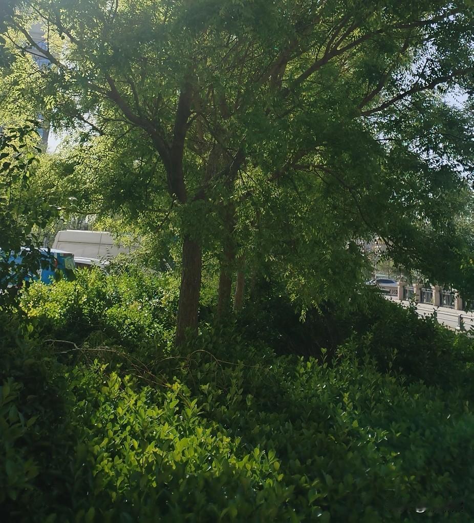 本来还盼着去泰国过泼水节，图个热闹好玩，结果看到水枪投毒的事，真的吓出一身冷汗。