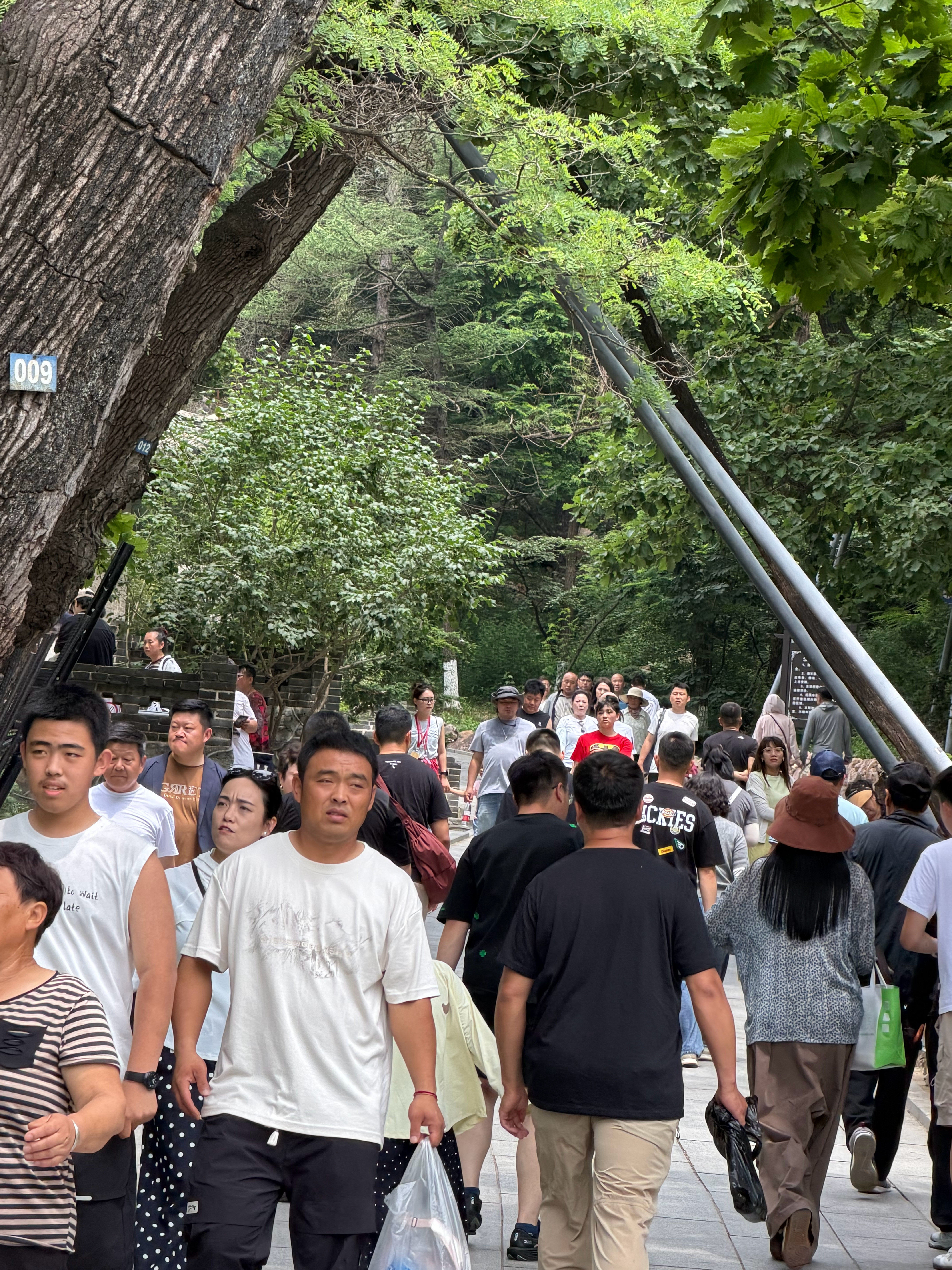 三伏天的太阳真的很会“上班”，一出门就像被热浪追着跑。但到了辽宁大孤山