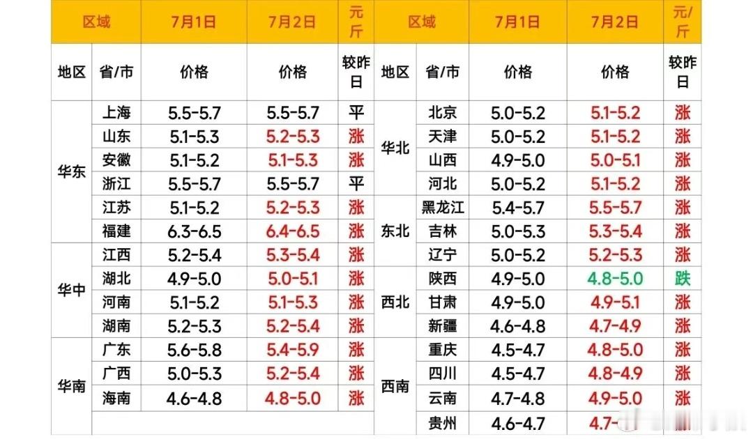 每日猪价