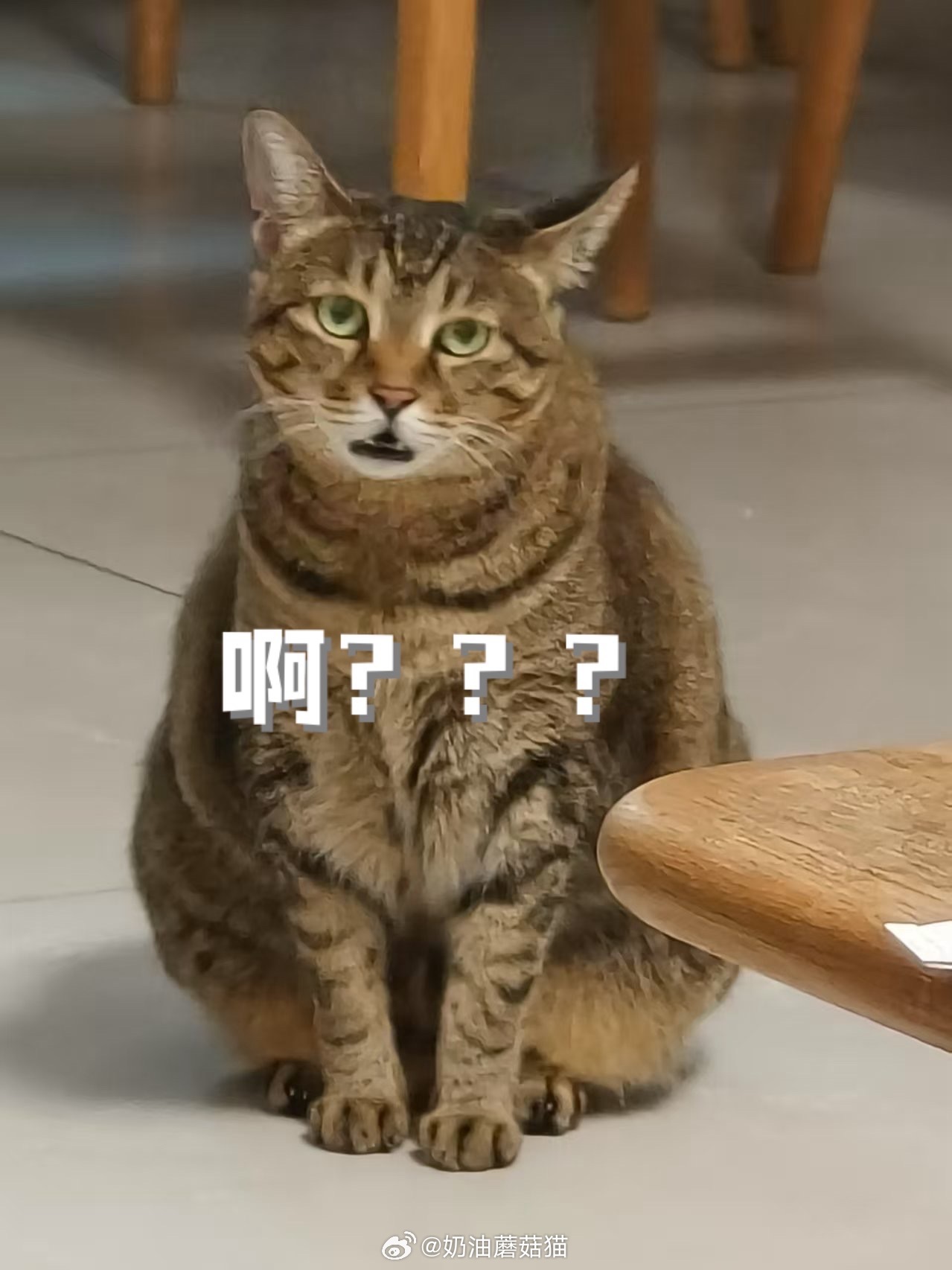 当有人对你说“你是不是有病啊！？”你一般如何反应？