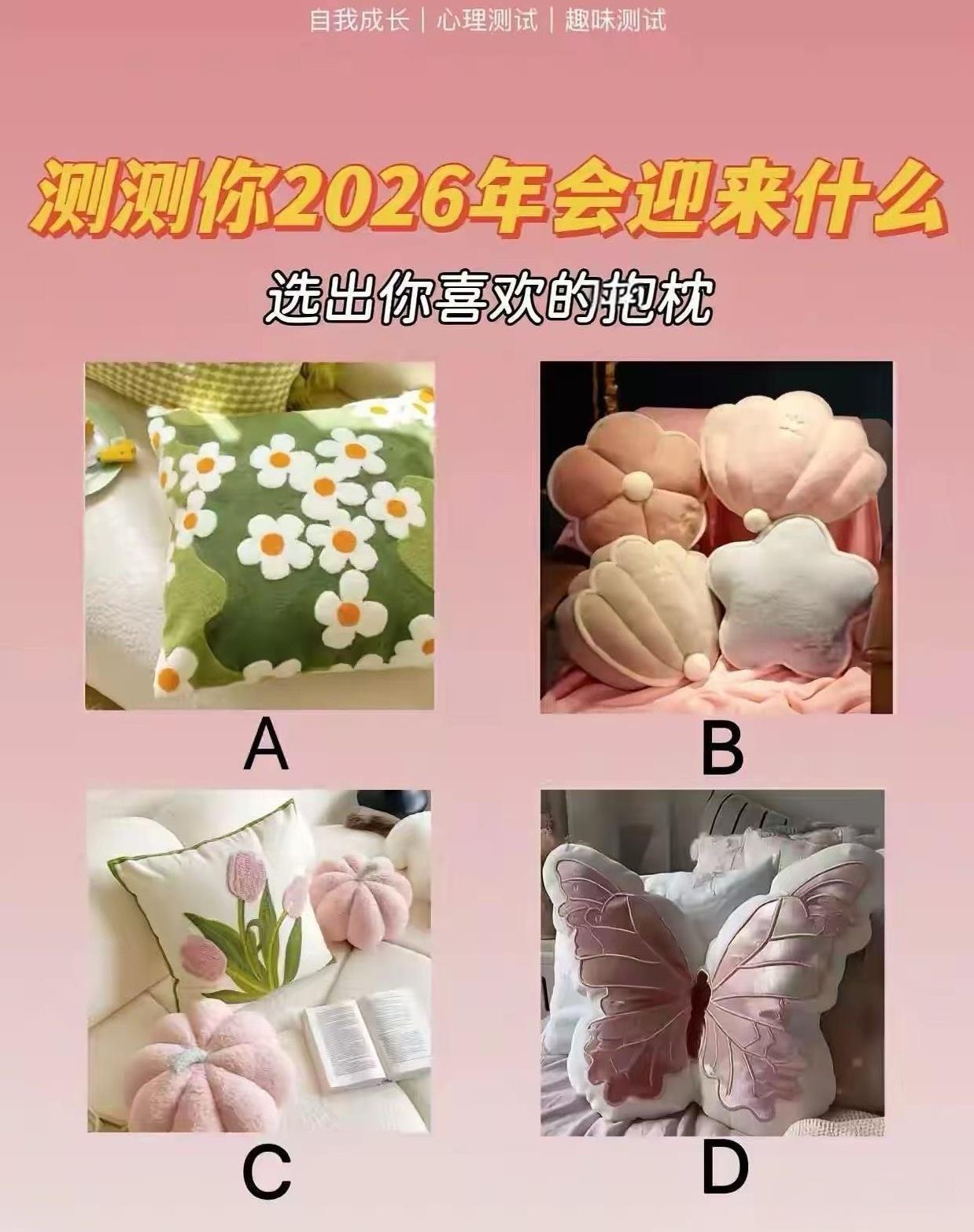 测一测看看2026年你会迎来什么好运？凭第一眼选个你最喜欢的抱枕吧！答案在评论