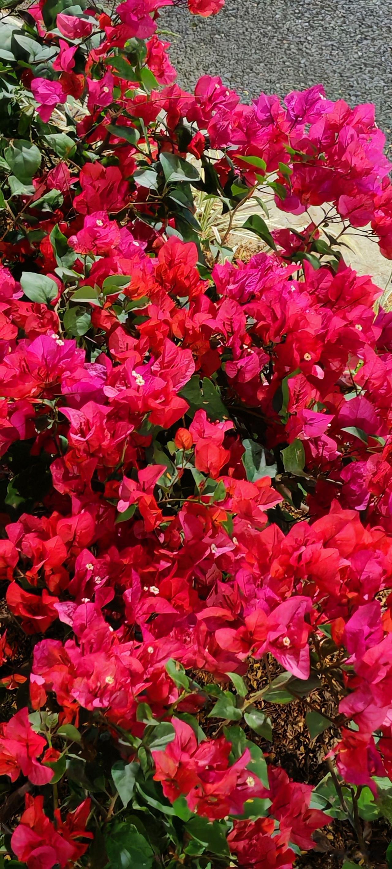 在三亚开出租车的一位的哥说了一件事儿，让人感慨。他有一天拉了一个中国丹东的女的