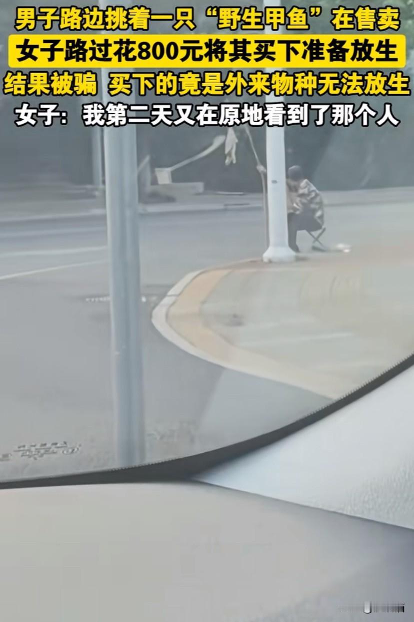 江苏张家港，男子在路边挑着一只自称是野生甲鱼在售卖，女子路过以800元将其买下准