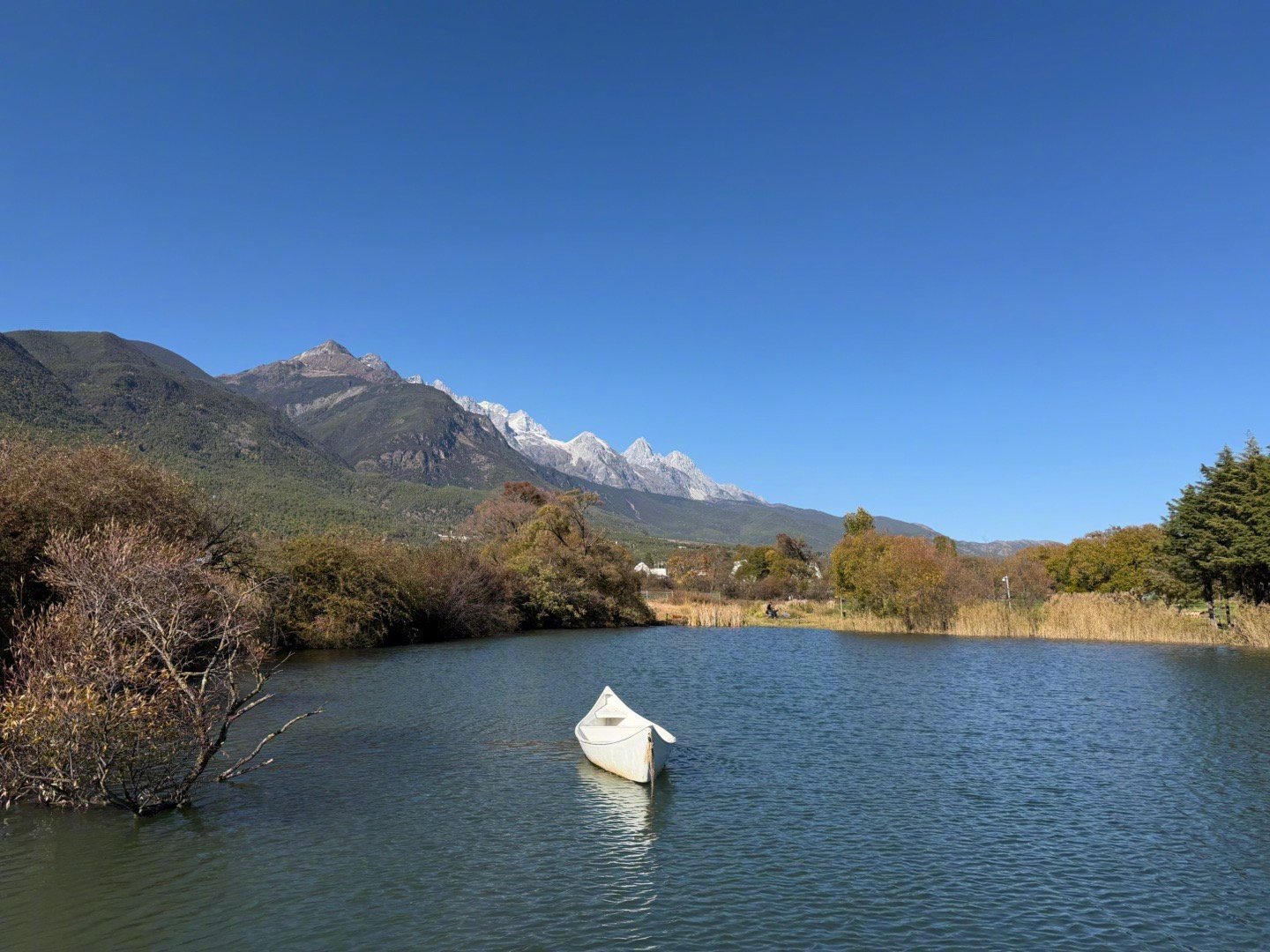 记录在丽江的生活，今日份的美景。丽江